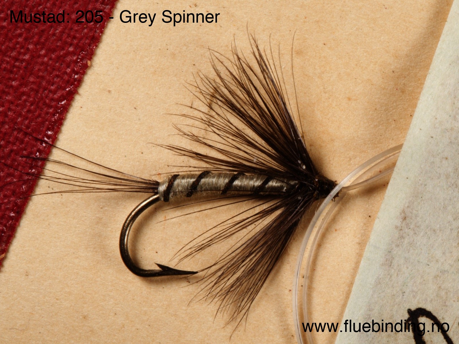 Grey Spinner
