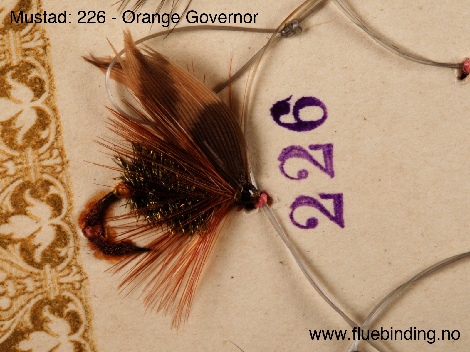 Orange Governor