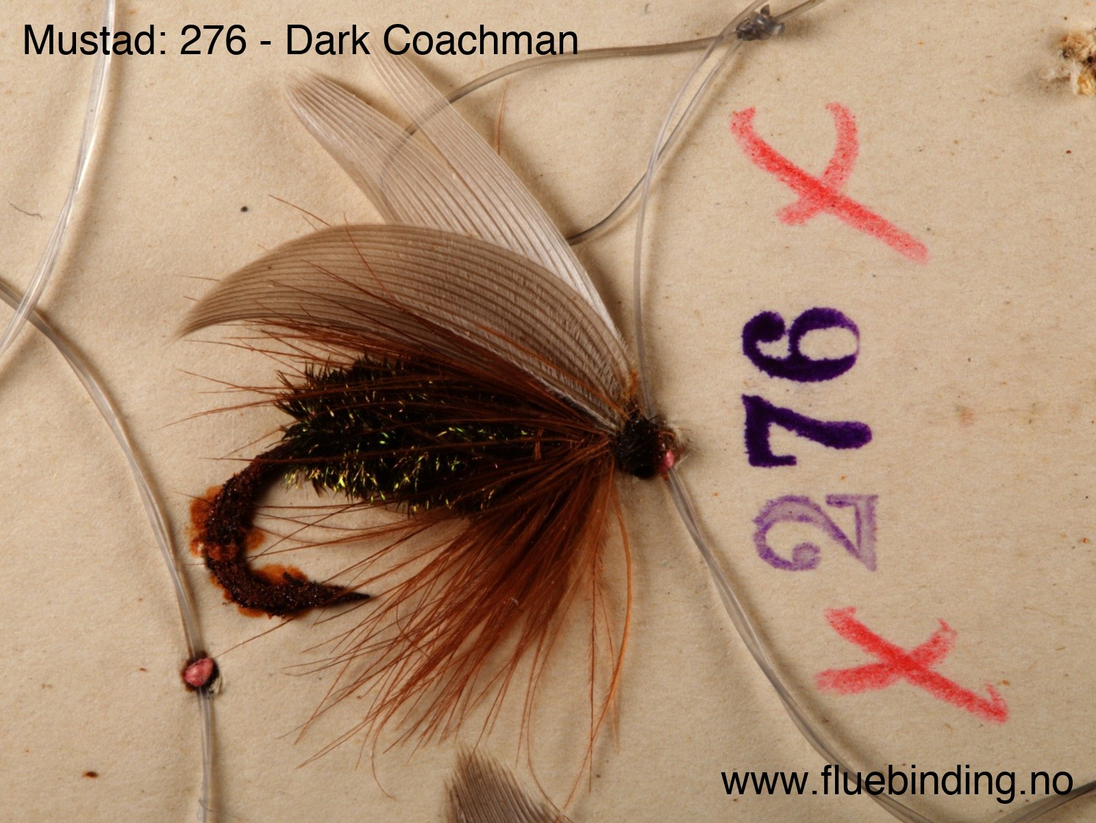 Dark Coachman