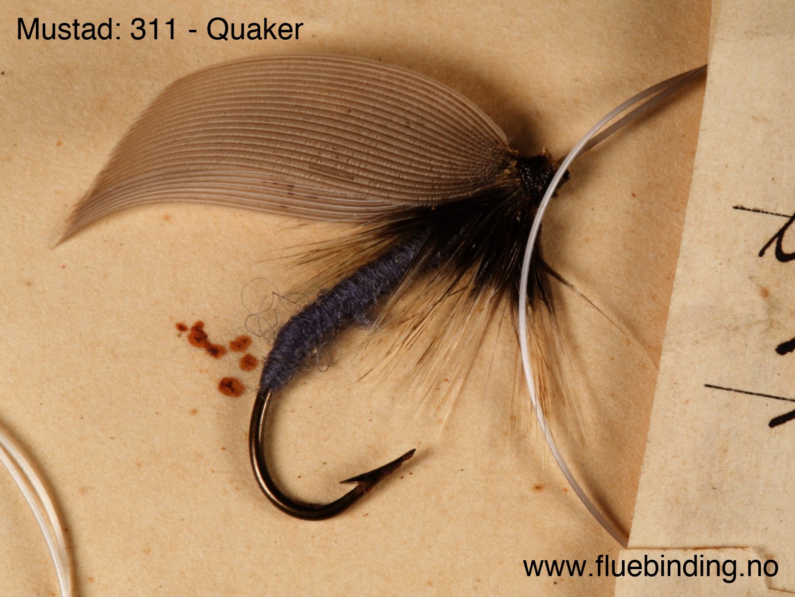 Quaker