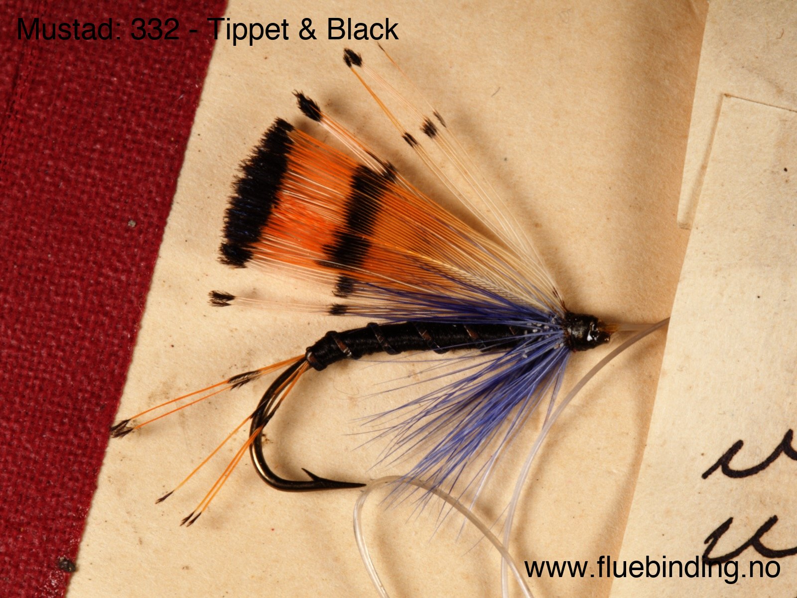 Tippet & Black