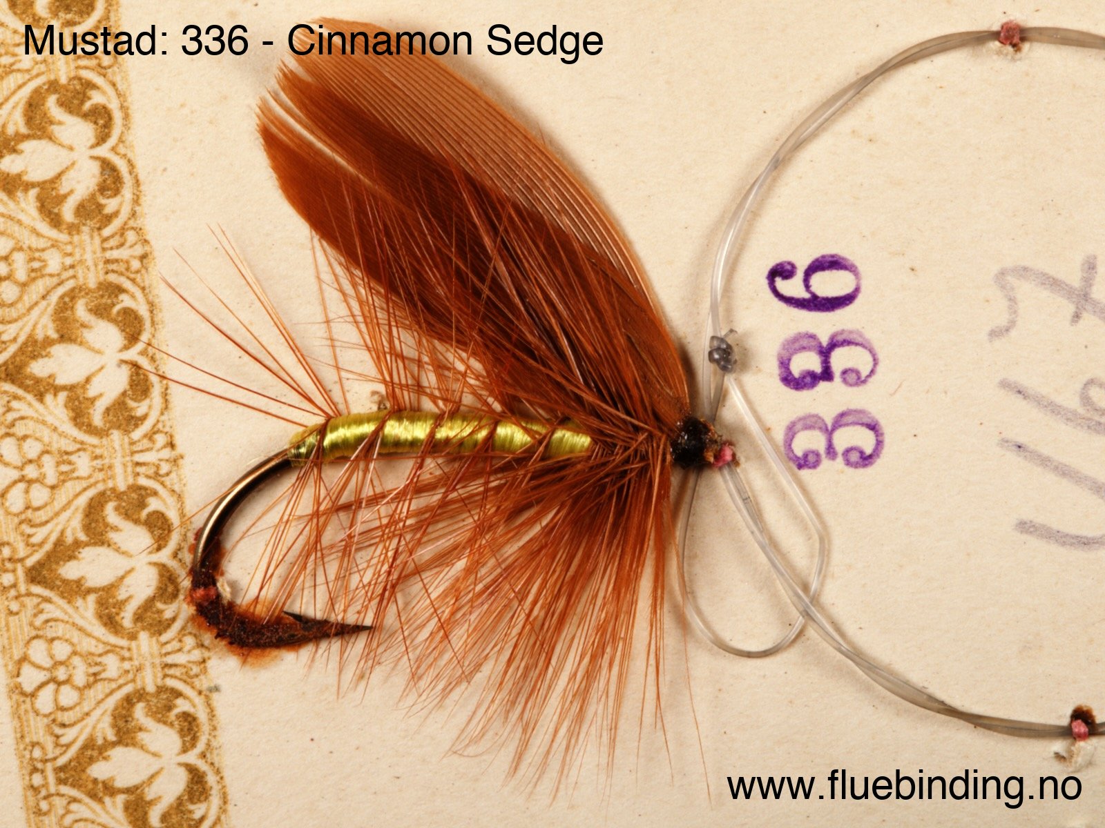 Cinnamon Sedge