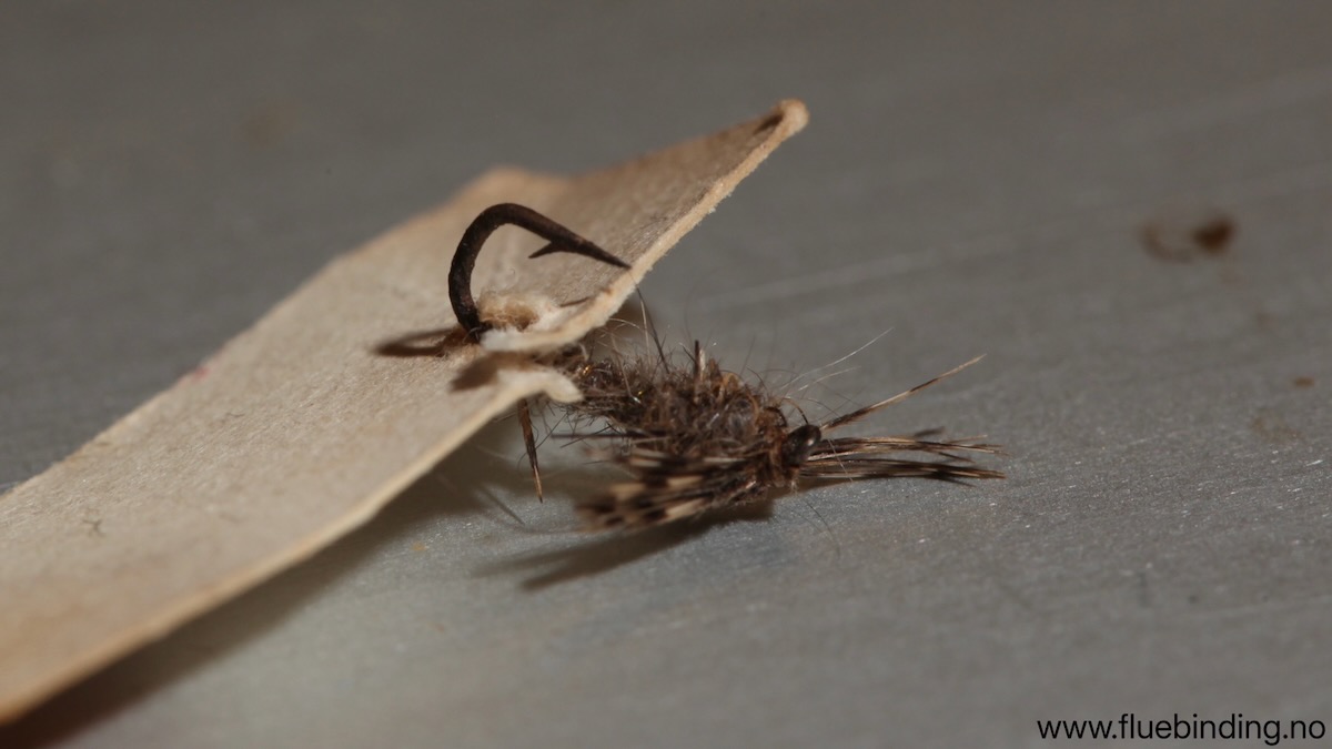 March Brown