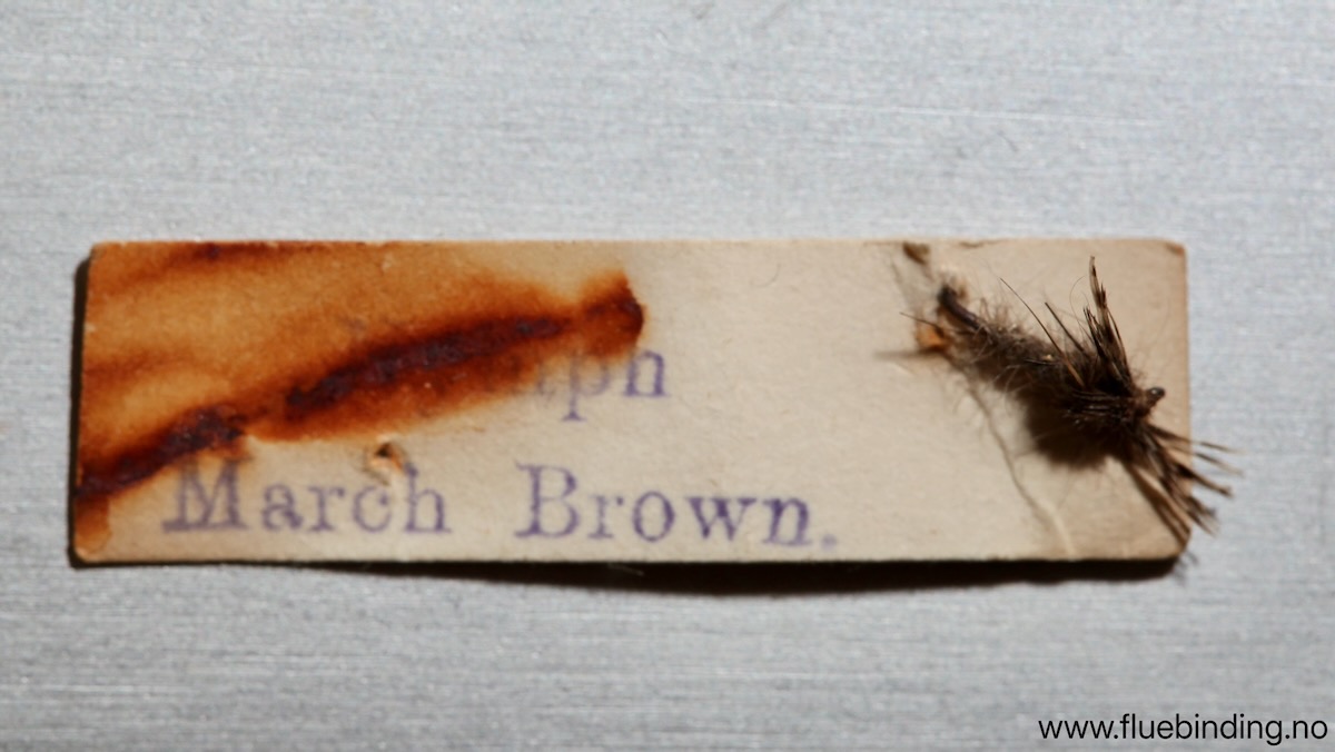 March Brown