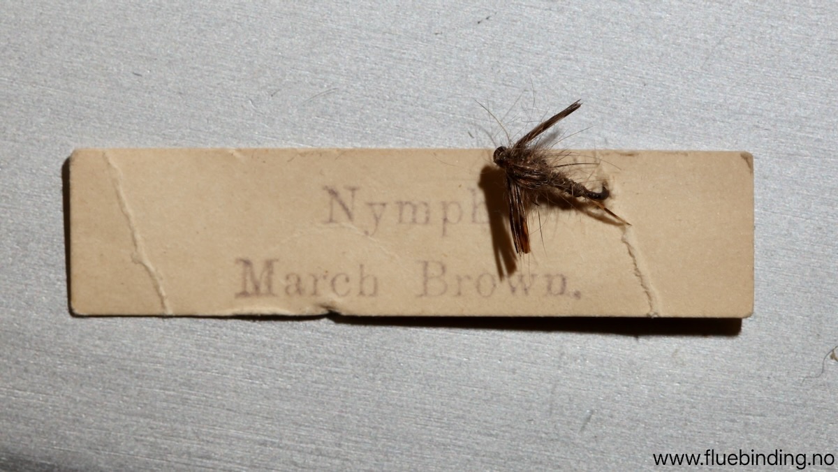 March Brown