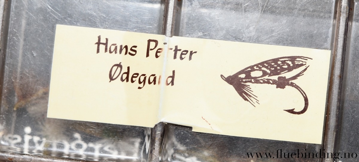 Hans Petter Ødegård: Flueboks