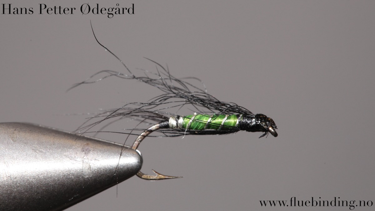 Hans Petter Ødegård: Flue