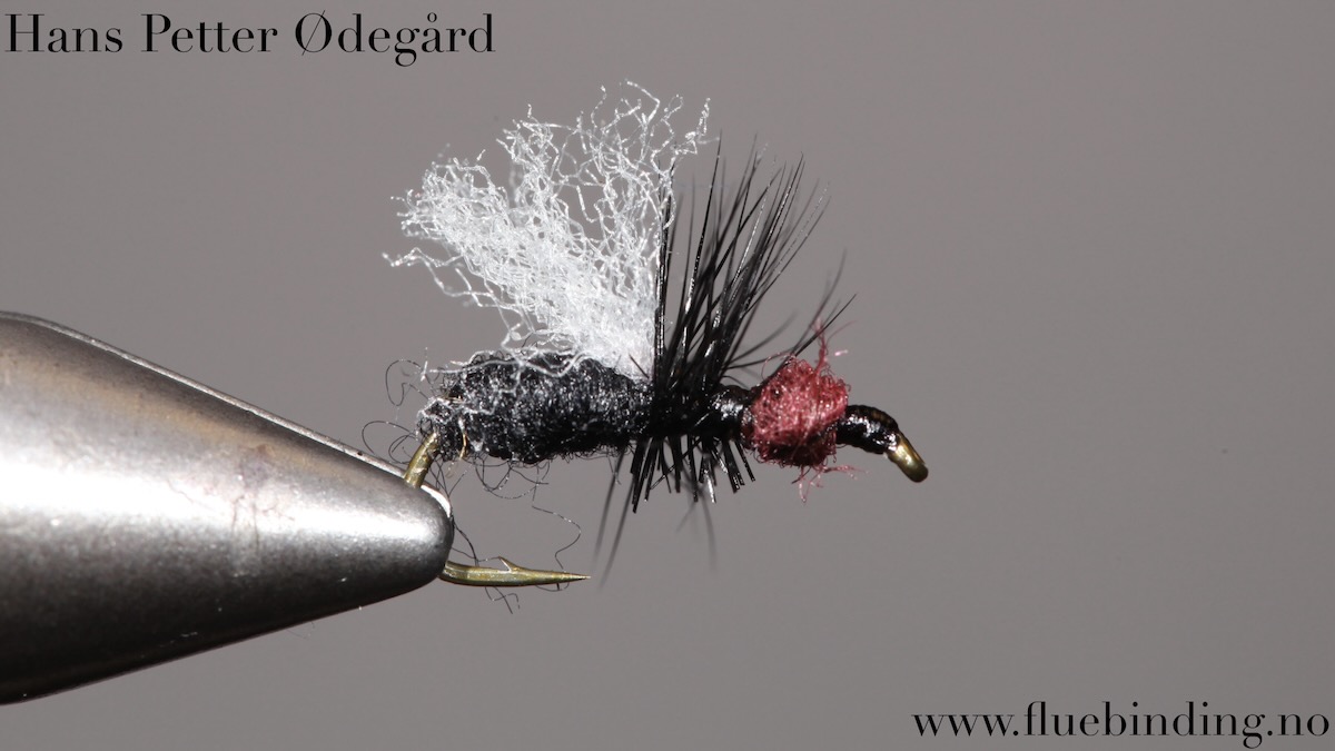 Hans Petter Ødegård: Tørrflue